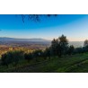 Veneto